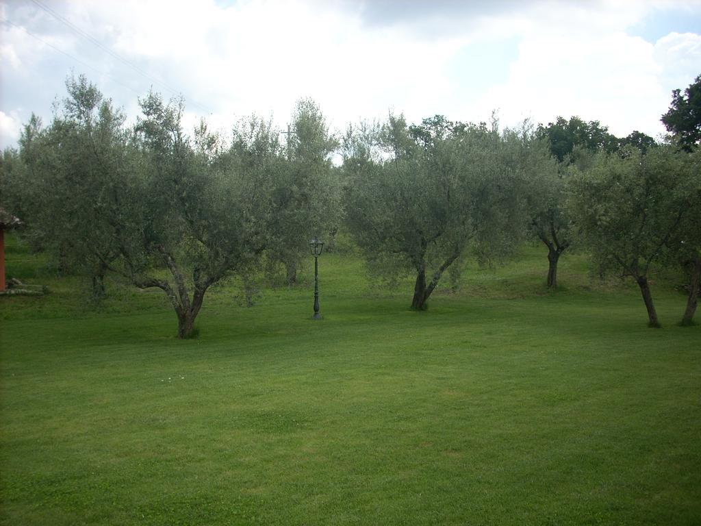 Forum Cassii Vetralla Buitenkant foto